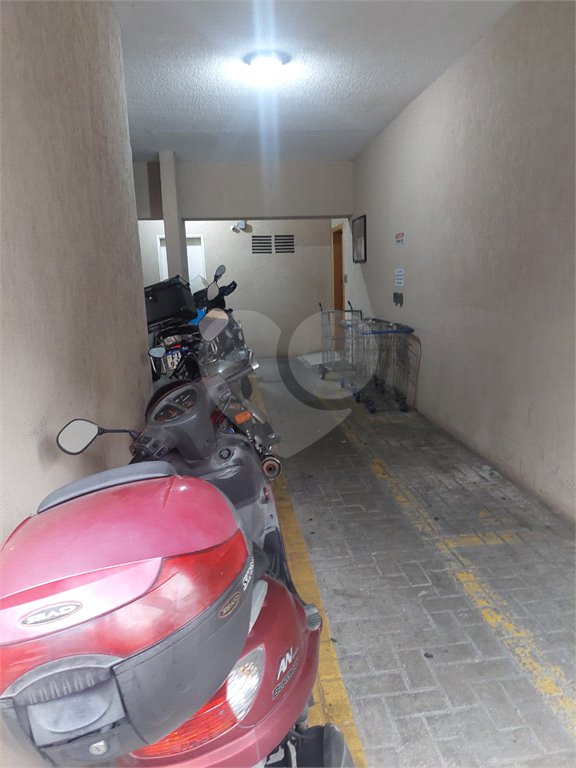 Apartamento à venda com 3 quartos em Mandaqui, São Paulo, SP