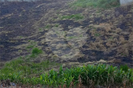 Terreno à venda em Vila Oliveira, Mogi das Cruzes, SP