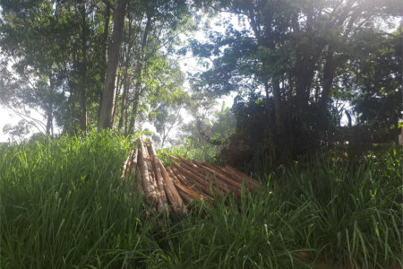 Terreno à venda em Vale Verde, Valinhos, SP
