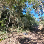 Condomínio à venda em Caraguatá, Mairiporã, SP
