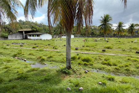Terreno à venda com 3 suítes em Bazílio, Rio Bonito, RJ