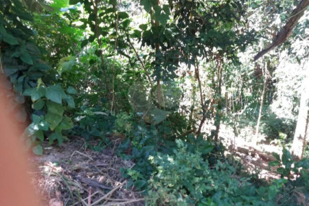 Terreno à venda em Tucuruvi, São Paulo, SP