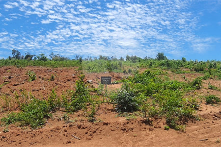 Terreno à venda no condomínio Estäncia Parque de Atibaia, Atibaia - SP