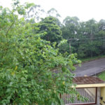Sobrado à venda com 4 suítes em Parque dos Príncipes, São Paulo, SP