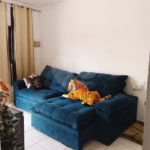 Casa à venda ou para alugar com 3 quartos, sendo 1 suíte, em Florida Mirim, Mongaguá, SP