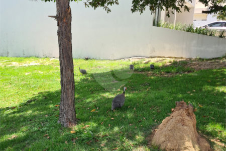 Terreno à venda no condomínio Renaissance, Sorocaba - SP