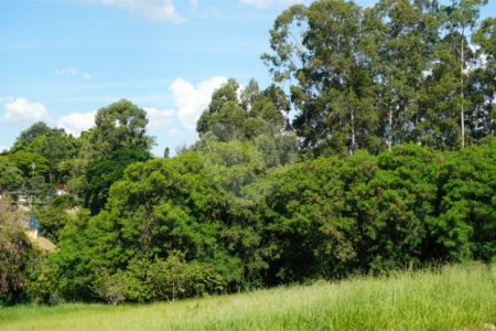 Terreno à venda em Bela Vista, Salto, SP