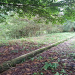 Terreno à venda no condomínio Associação Reserva das Hortênsias, Mairiporã - SP