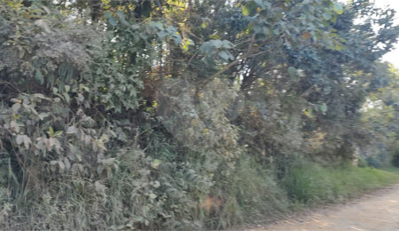 Terreno à venda em Luiz Fagundes, Mairiporã, SP