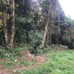 Terreno à venda no condomínio Champs Elysées Village, Mairiporã - SP