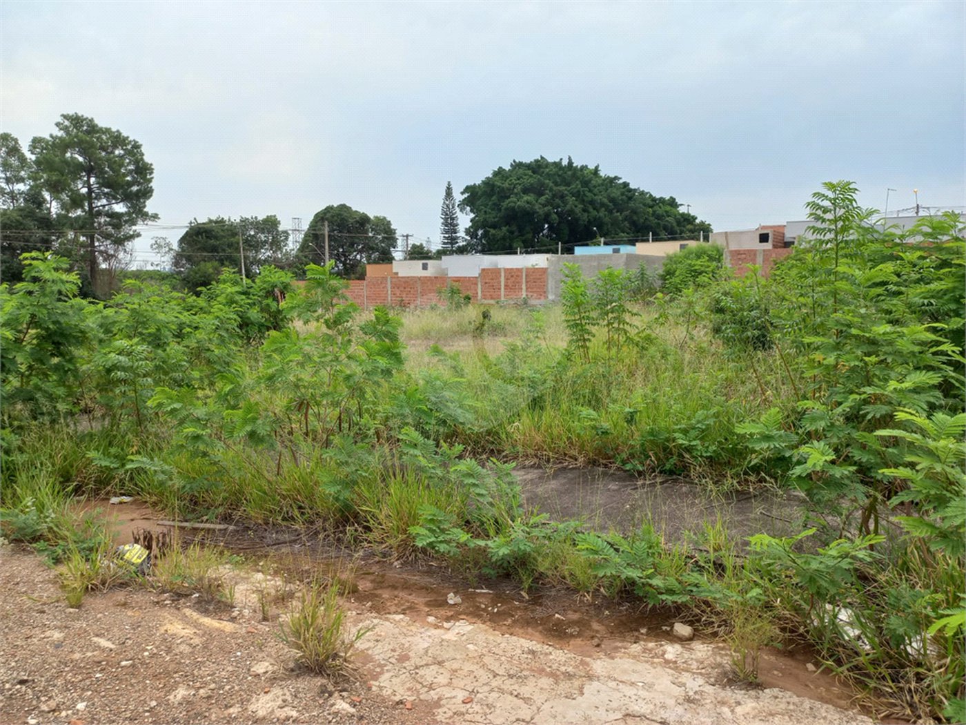 Terreno com 150,00 m² .