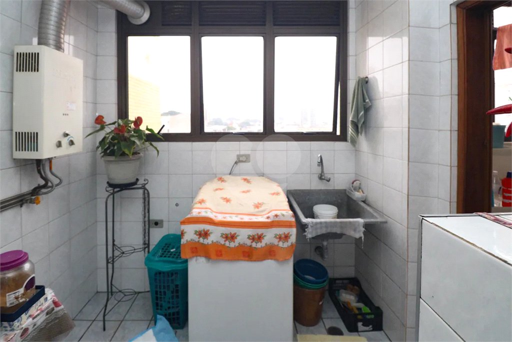 Apartamento à venda com 3 quartos, sendo 1 suíte, em Vila Maria Alta, São Paulo, SP