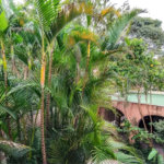 Sobrado à venda com 4 quartos, sendo 2 suítes, em Jardim Morumbi, São Paulo, SP