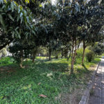 Casa à venda com 3 quartos, sendo 1 suíte,  em Jardim Caboré, São Paulo, SP