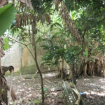Terreno à venda em Jardim Jussara, São Paulo, SP
