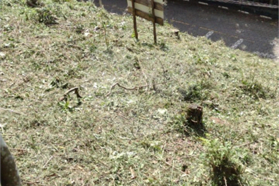 Terreno à venda no condomínio Parque Imperial da Cantareira, Mairiporã - SP