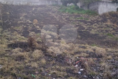 Terreno à venda em Vila Oliveira, Mogi das Cruzes, SP