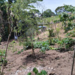 Chácara à venda com 2 quartos em Vila Caputera, Mogi das Cruzes, SP