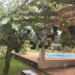 Chácara à venda com 3 quartos, sendo 1 suíte, em Chácara Flora Araraquara, Araraquara, SP