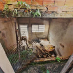 Sobrado à venda com 6 quartos em Água Fria, São Paulo, SP