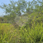 Terreno à venda em Caravelas, Armação dos Búzios, RJ
