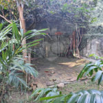 Terreno à venda em Tucuruvi, São Paulo, SP