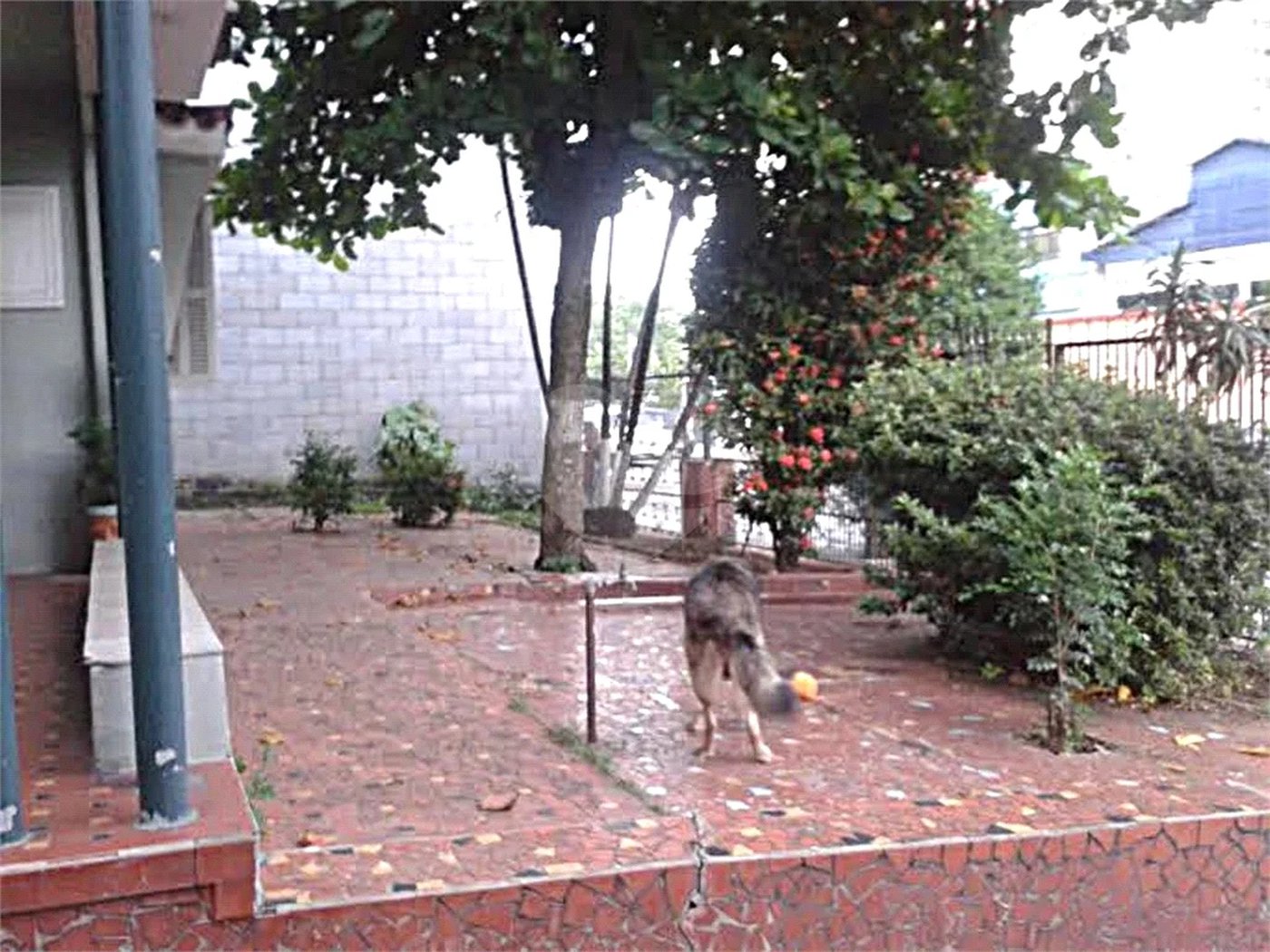 Casa à venda com 3 quartos em Limão, São Paulo, SP