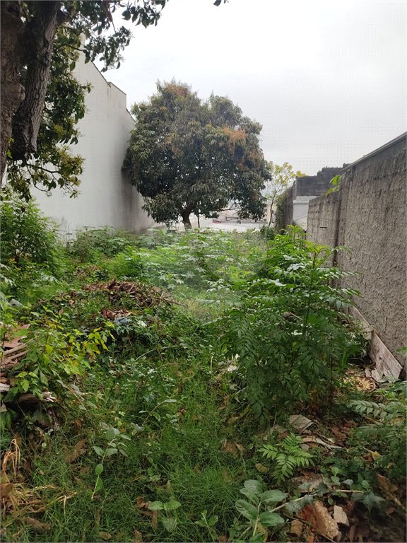 Terreno à venda em Vila Constança, São Paulo, SP
