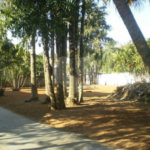 Sobrado à venda com 7 quartos, sendo 4 suítes, em Jardim Petrópolis, São Paulo, SP