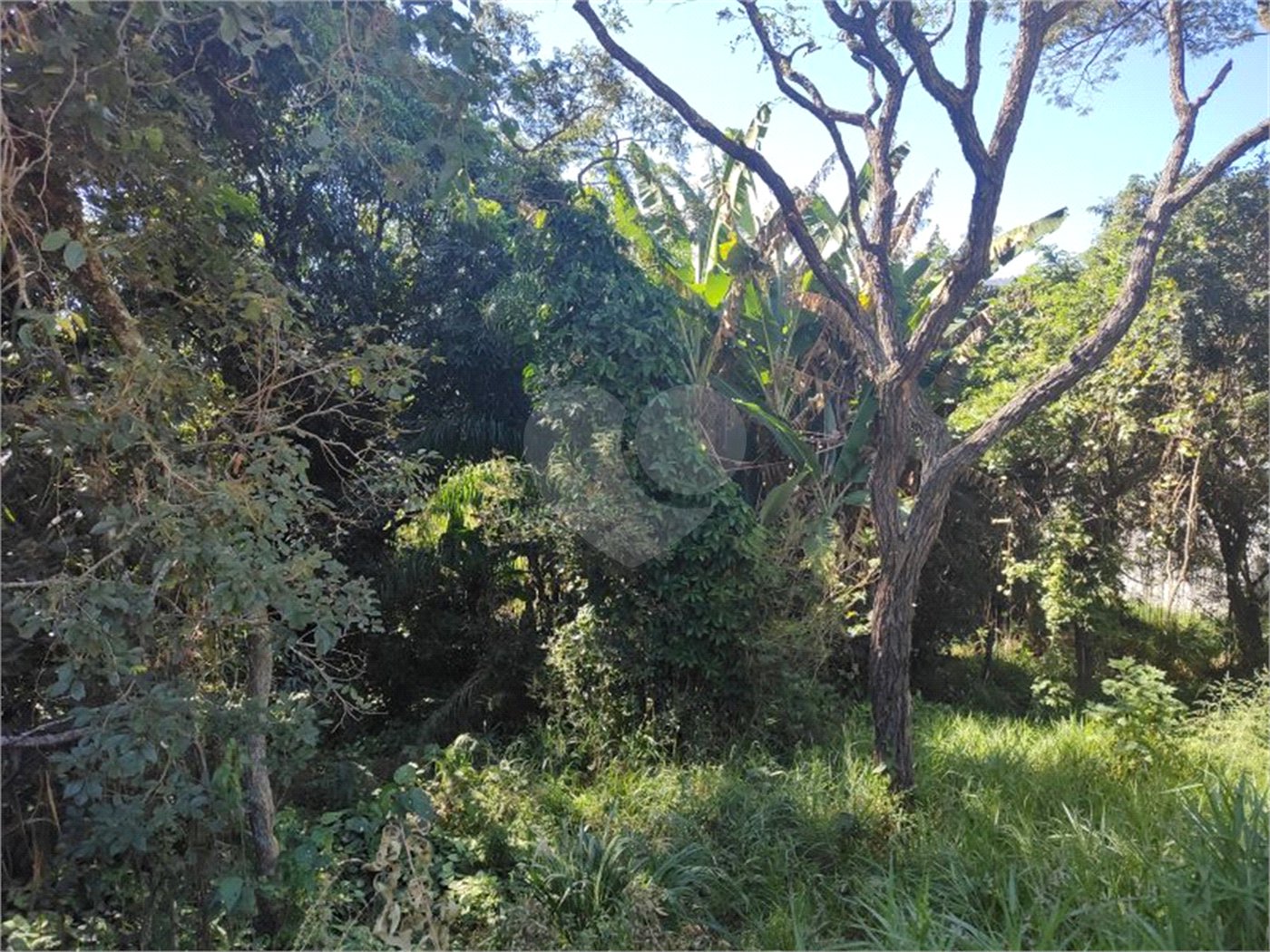 Terreno à venda em Jardim Paulista, Atibaia, SP