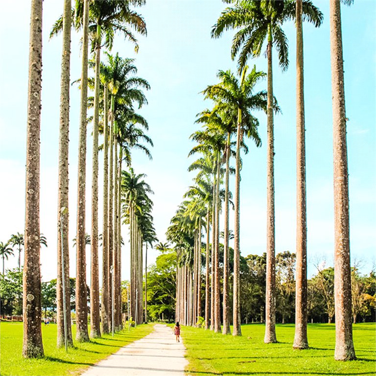 Apartamento para alugar com 1 suíte em Parque Residencial Aquarius, São José dos Campos, SP