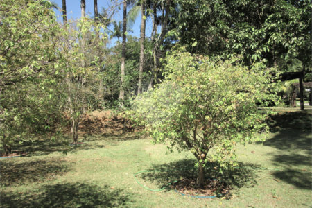Casa à venda com 4 suítes no condomínio Jatoba, São Paulo - SP