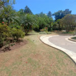 Apartamento para alugar com 4 quartos, sendo 3 suítes, em Vila Gomes Cardim, São Paulo, SP
