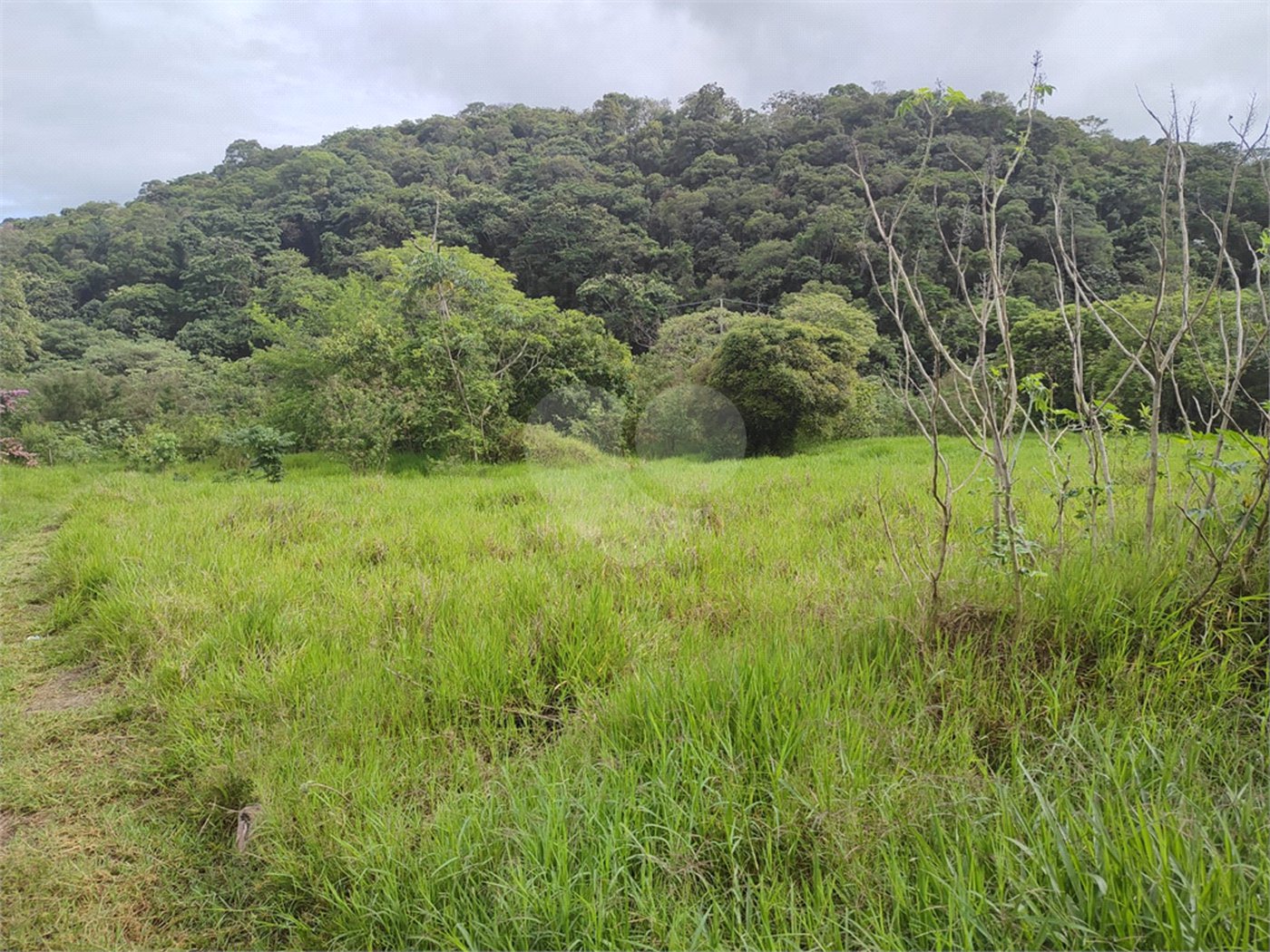 Terreno à venda no Centro, Bom Jesus dos Perdões, SP