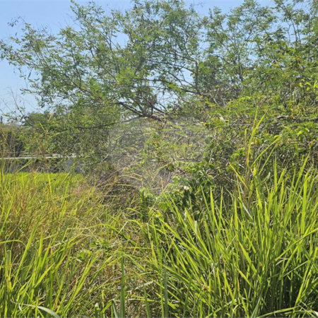 Terreno à venda em Caravelas, Armação dos Búzios, RJ