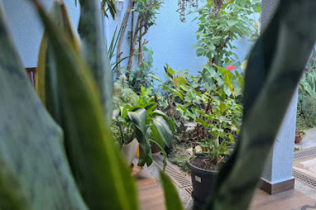 Casa com 6 dormitórios à venda, 250 m² por R$ 2.500.000,00 - Aclimação - São Paulo/SP