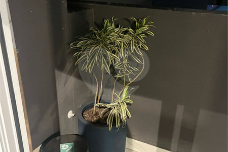 Apartamento à venda com 1 quarto em Vila Olímpia, São Paulo, SP