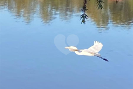 Terreno à venda no condomínio Vivenda do Lago, Sorocaba - SP