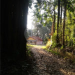 Terreno à venda com 3 quartos em Chácara Malota, Jundiaí, SP