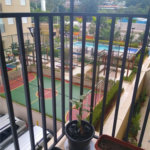 Apartamento à venda com 2 quartos em Jardim Parque Morumbi, São Paulo, SP