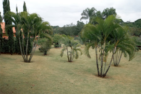Casa à venda com 4 suítes no condomínio Estância Marambaia, Vinhedo - SP