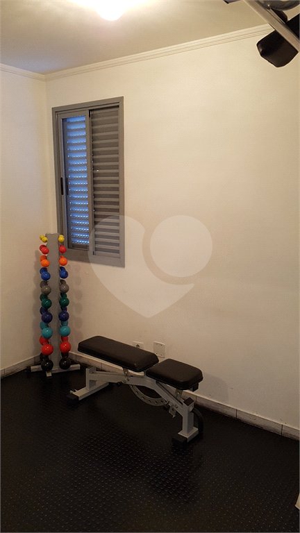 Apartamento à venda com 3 quartos, sendo 1 suíte, em Vila Paulicéia, São Paulo, SP