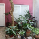 Casa à venda com 6 quartos, sendo 4 suítes, em Bosque da Saúde, São Paulo, SP