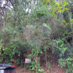 Terreno à venda no condomínio Alpes da Cantareira, Mairiporã - SP