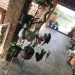 Chácara à venda com 4 quartos, sendo 1 suíte,  em Monterrey, Louveira, SP