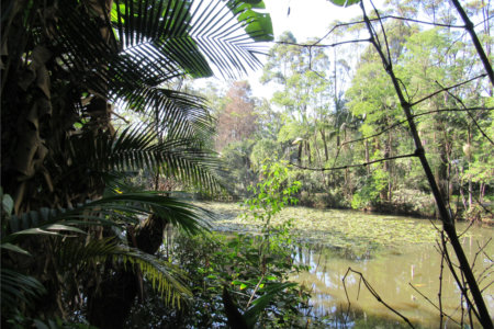 Terreno à venda em Chácara Flora, São Paulo, SP