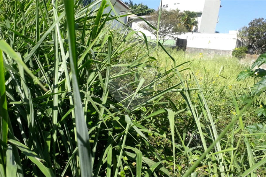 Terreno à venda em Santana, São Paulo, SP