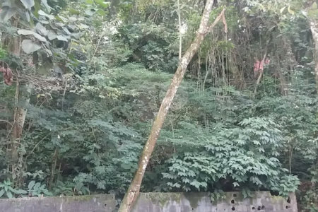 Terreno à venda em Tucuruvi, São Paulo, SP