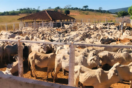Fazenda à venda com 6 quartos, sendo 1 suíte,  no Centro, Capitão Enéas, MG