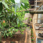Casa à venda com 5 quartos, sendo 4 suítes, em Jardim do Carmo, Araraquara, SP